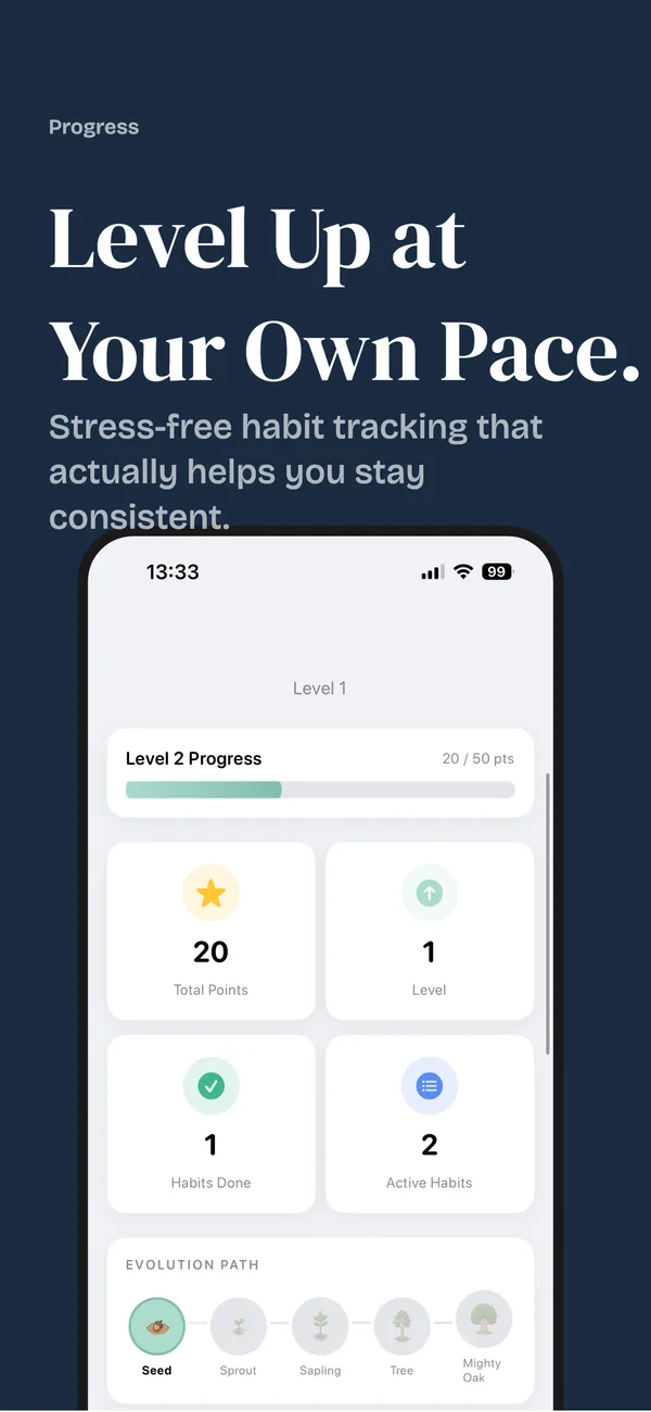 Level up at your own pace: points, levels and the evolution path